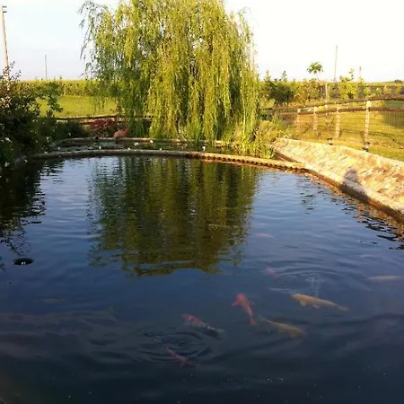 Azienda Agrituristica Bellavista Farm stay Montespertoli