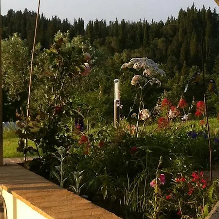 Azienda Agrituristica Bellavista Farm stay *