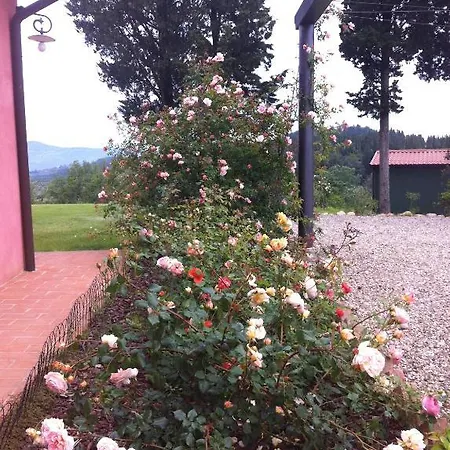 Azienda Agrituristica Bellavista Farm stay