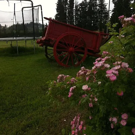 Azienda Agrituristica Bellavista Farm stay