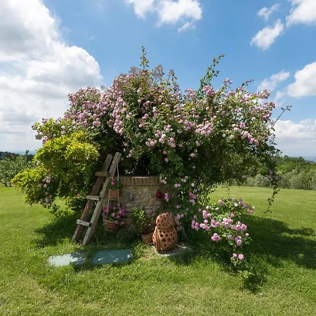Azienda Agrituristica Bellavista Farm stay *