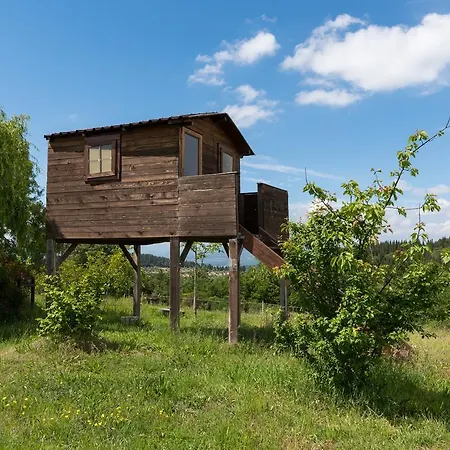 Azienda Agrituristica Bellavista Farm stay Montespertoli