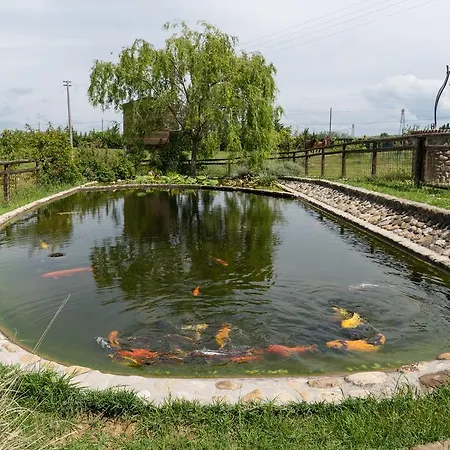 Azienda Agrituristica Bellavista Farm stay